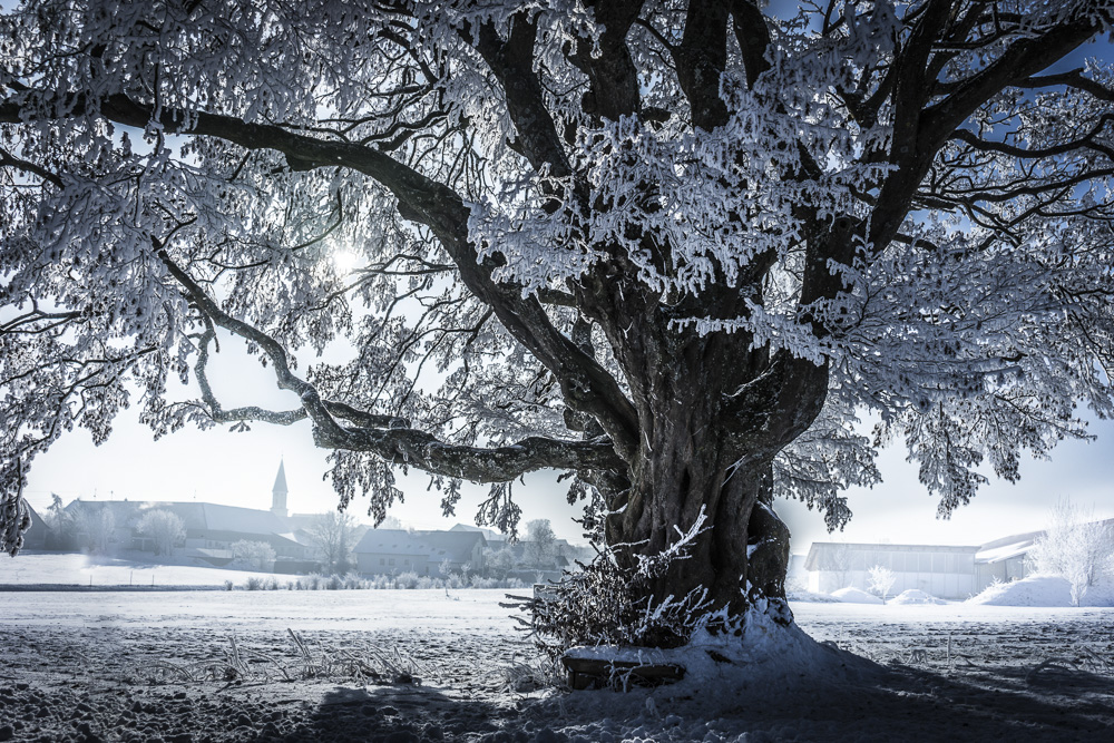 4. Platz Harald Unglert